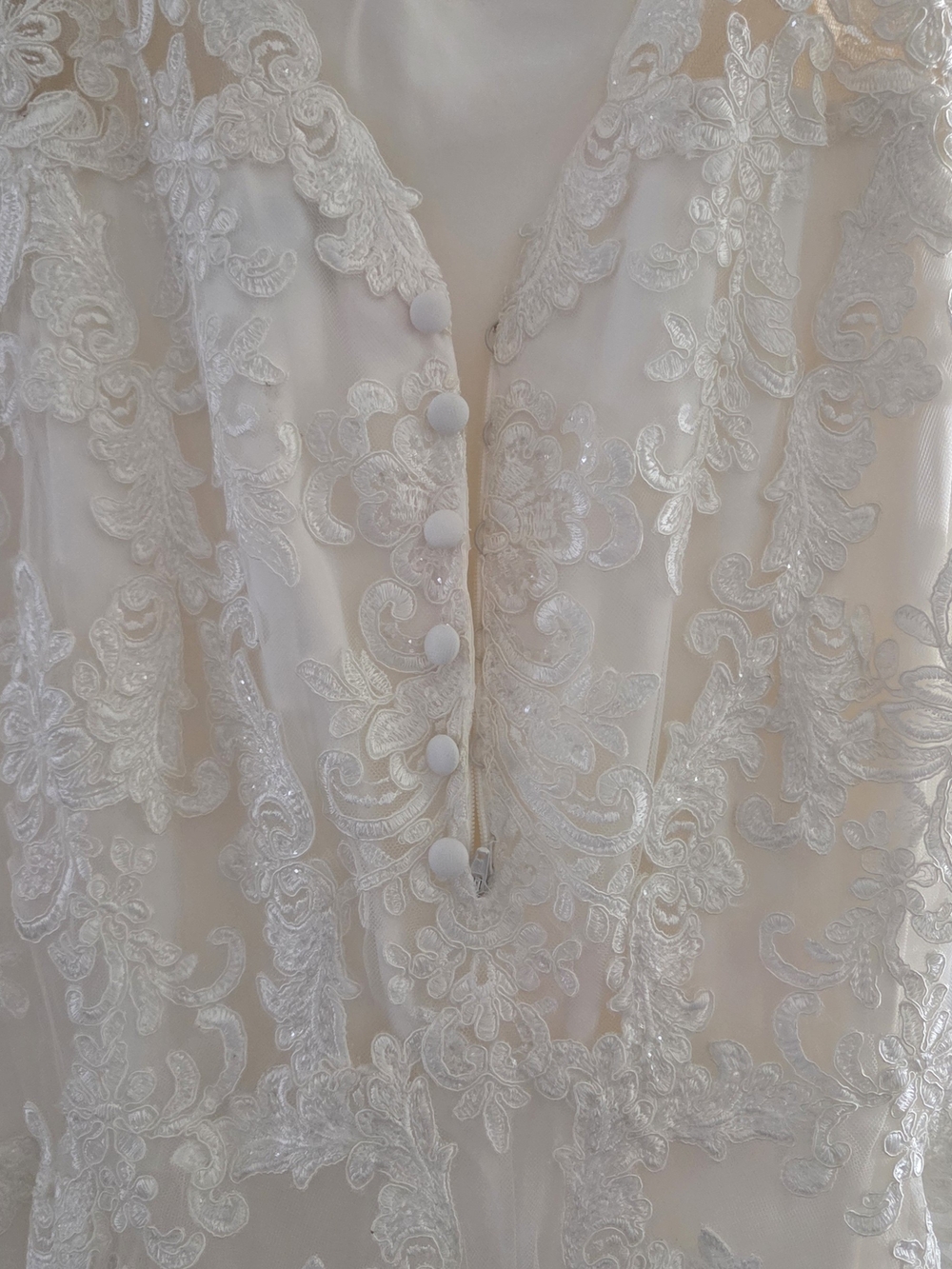 Elegant, Lace Backless Wedding Dress - Picture 8 of 15